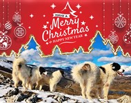 Click to view full size Thumbnail image for ../Datoteke/Novosti/boziccc.jpg