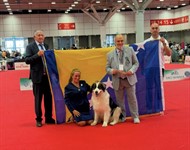Click to view full size Thumbnail image for ../Datoteke/Novosti/tornjak.jpg
