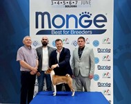 Click to view full size Thumbnail image for ../Datoteke/Novosti/dante.jpg