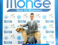 Click to view full size Thumbnail image for ../Datoteke/Novosti/odrasli-bobi.jpg