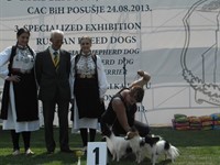 CACIB POSUŠJE 24. i 25.08.2013 - RAZNO Thumbnail image for Datoteke/galerija/1187307_589711071067073_644826616_n.jpg