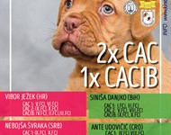 Dog show Livno 2023 Thumbnail image for Datoteke/Novosti/23_livno3.jpg