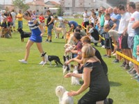 CACIB POSUŠJE 24. i 25.08.2013 - RAZNO Thumbnail image for Datoteke/galerija/4oo7.jpg