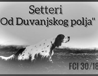 Thumbnail image for Datoteke/Novosti/od-duvanjskog-polja.jpg