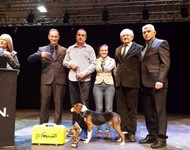 pezer Thumbnail image for Datoteke/Novosti/pezerr.jpg